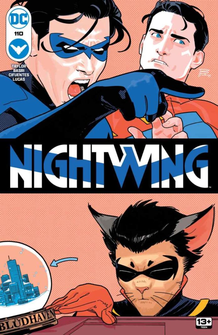 Preview: Nightwing #110