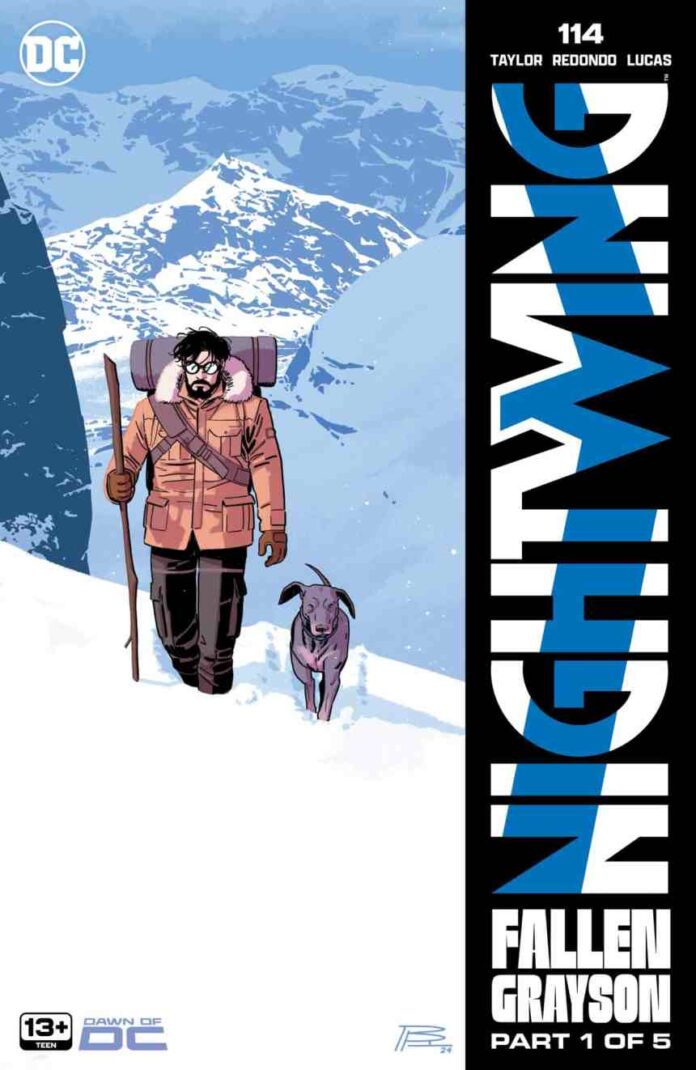 Preview: Nightwing #114