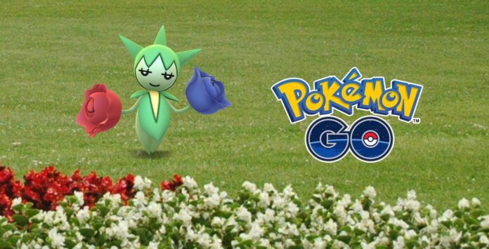 Roselia will appear in the wild instead of Budew in the Shining Day habitat during Pokémon GO Fest 2024: Global, Budew will be available to hatch from 7 km Eggs obtained during the event