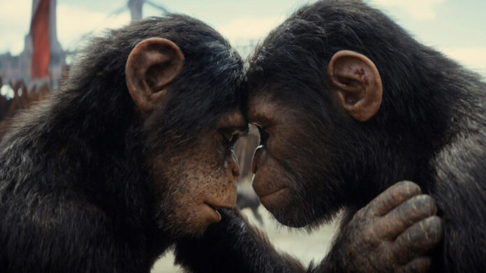 Kingdom Of The Planet Of The Apes Review - It's Caesar's World Now