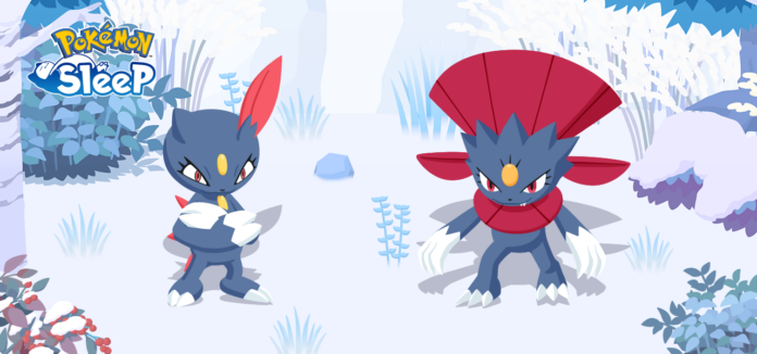 Sneasel and Weavile now available in Pokémon Sleep at Greengrass Isle and Snowdrop Tundra