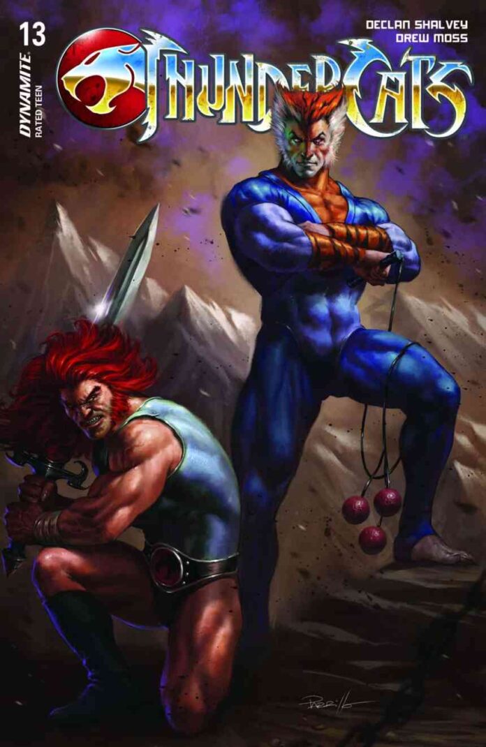 Preview: ThunderCats #13