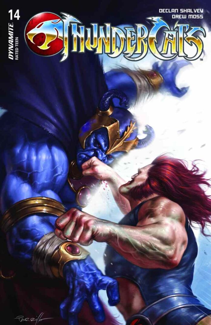 Preview: ThunderCats #14