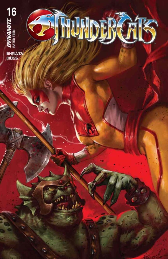Preview: ThunderCats #16