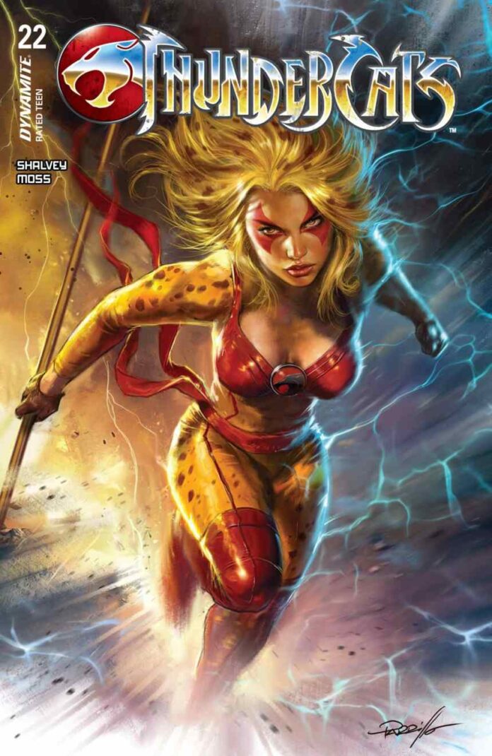Preview: ThunderCats #22