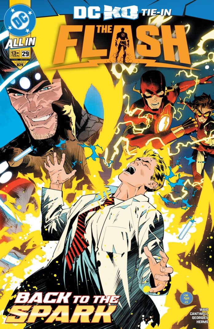 Preview: The Flash #29