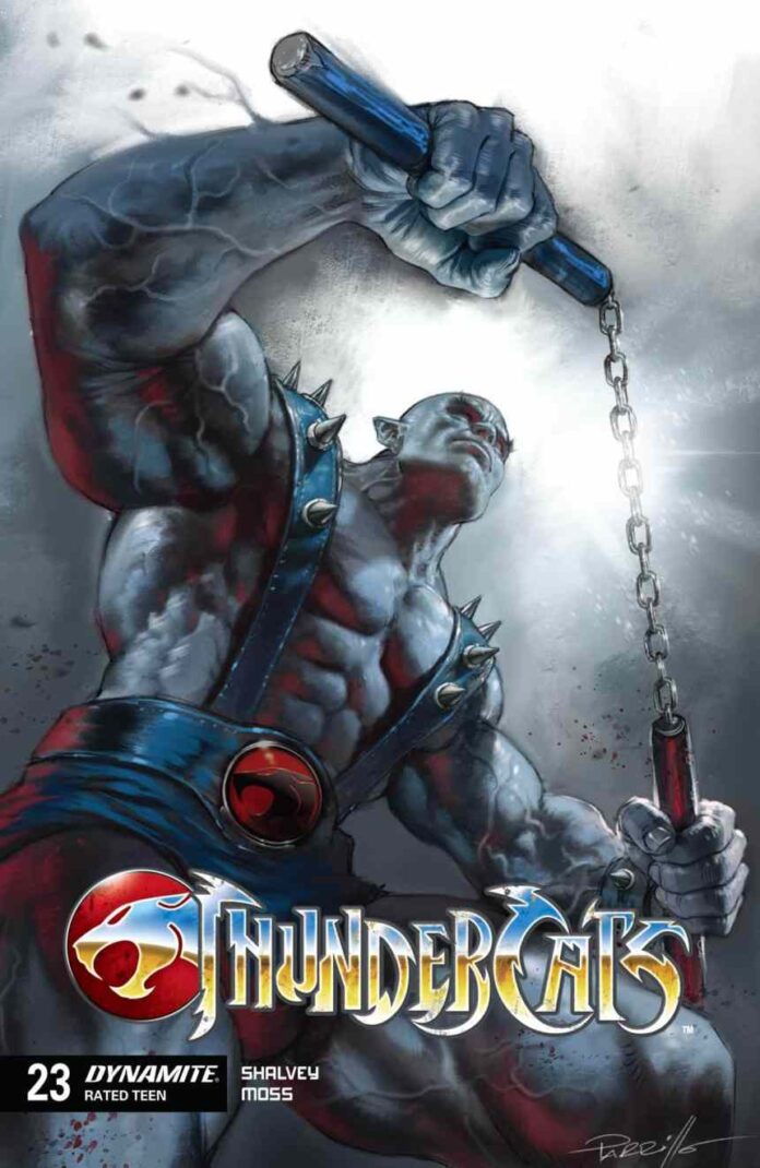 Preview: ThunderCats #23