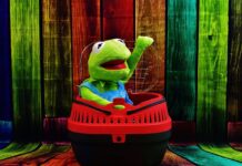 OBG 584: Small Box Big Fun OBG 584: Small Box Big Fun