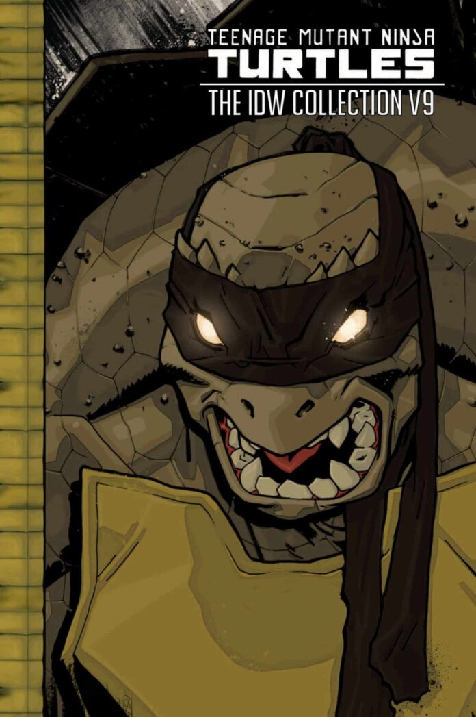 Preview: Teenage Mutant Ninja Turtles: The IDW Collection, Vol. 9